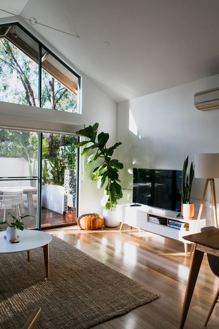 Portfolio Spacious living room with side table placed on rug against TV and green potted plant in modern apartment with glass wall